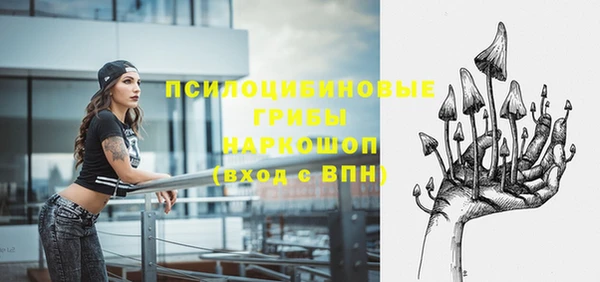 герыч Мегион
