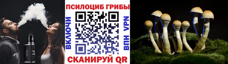 МЕГА рабочий сайт  Шиханы  Галлюциногенные грибы Psilocybine cubensis  купить наркоту 